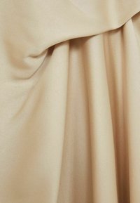 Reiss REGULAR FIT - MICHELLE TUCK-DETAIL MIDI - Proginė apranga - champagne neutral