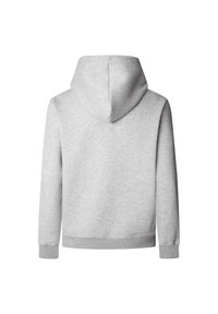 Sweat à capuche gris clair vu de dos avec manches longues et poignets et ourlet côtelés.