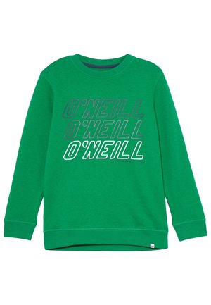 CREWS ALL YEAR - Sweater - jolly green