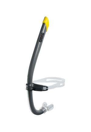 SWIM SNORKEL PRO III - Accesorio de natación - anthracite