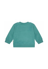 Teal sweatshirt met lange mouwen, ronde halslijn en geribbelde cuffs. Zachte textuur met een effen kleur en geen zichtbare patronen of accenten.