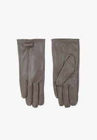 Seleccionado, tortora