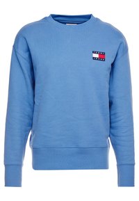 Felpa blu con maniche lunghe, collo a giro, polsi e orlo a coste; presenta una piccola etichetta rettangolare sul petto a sinistra.