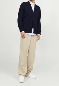 Mörkblå stickad cardigan med V-hals och fem knappar, bärs över en ljusblå och vit randig skjorta. Kombineras med beige vida byxor och vita sneakers.