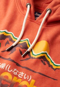 Superdry & Co GREAT GRAPHIC - Hoodie - rust orange marl