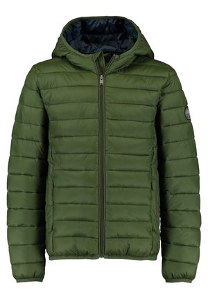 ALEX JR - Giacca invernale - light green