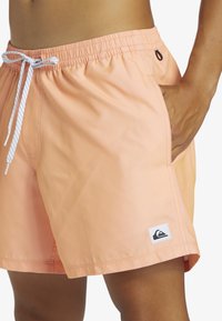 Quiksilver EVERYDAY SOLID VOLLEY - Kupaće hlače - mfq