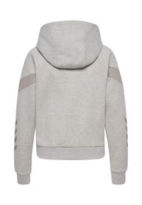 Felpa grigia con cappuccio, maniche lunghe e design cropped. Presenta strisce grigie a contrasto lungo le maniche e una texture morbida.