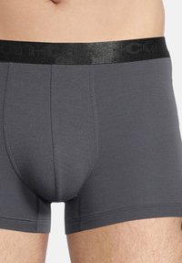 Boxer briefs grigi in cotone con un elastico nero in vita. Presentano un design aderente e una texture liscia, evidenziando i dettagli delle cuciture.