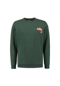 Felpa verde in cotone, con ricamo di un camaleonte arancione sul lato sinistro del petto. Collo a giro e maniche lunghe.