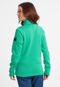 TOG24 PEARSON - Jumper - jade marl