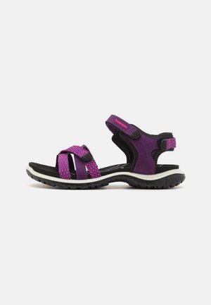 ROAM - Sandals - imperial purple/beetroot
