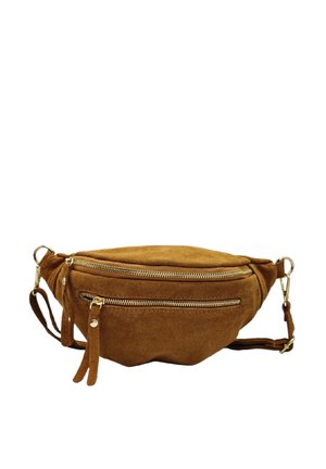 Sac banane en suede marron avec deux compartiments zippés et quincaillerie dorée. Il possède une bandoulière détachable et des franges décoratives.