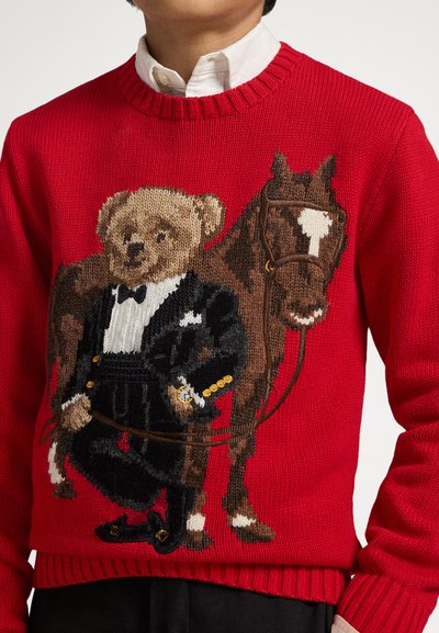 Červený sveter s pleteným vzorom medvedíka v smokingu držiaceho opraty koňa, stojaci vedľa hnedého koňa.
