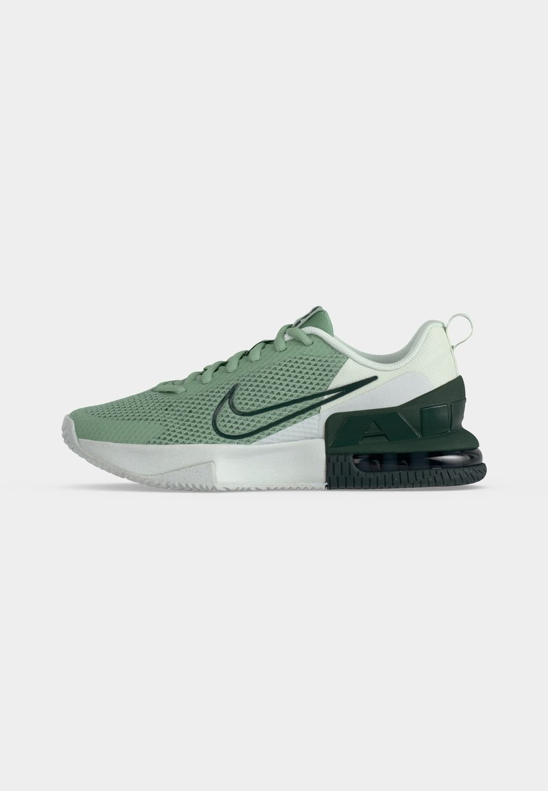 Nike Performance AIR MAX ALPHA 6 - Sportovní boty - steam/black spruce/spruce aura/off white/flat silver-coloured
