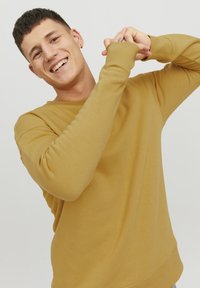 Jack & Jones JJESTAR CREW NECK - Sweater - honey gold