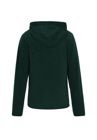 Felpa verde in pile con una texture morbida, maniche lunghe e tasca a marsupio frontale. Presenta un fit rilassato e un cappuccio regolabile con coulisse.