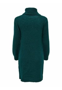 Robe pull en tricot vert foncé à manches longues avec un col roulé côtelé haut, vue de dos sur fond blanc.