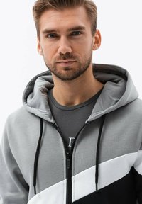 Ombre THREE-COLOR  WITH A HOOD B1419 - Felpa con zip - grey