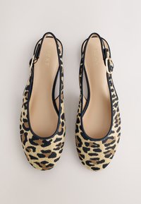 Paar Ballettschuhe mit Leopardenmuster, schwarzem Besatz und goldener Schnalle, von oben auf einem schlichten Hintergrund gezeigt.