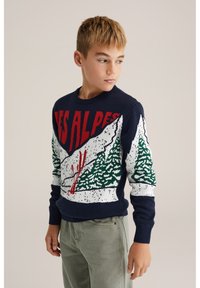 Adīts džemperis tumši zilā krāsā, ar sarkano tekstu "LES ALPES", zaļu un balto kalnu un koku rakstu, ar ribotām piedurknēm un apakšmalu.