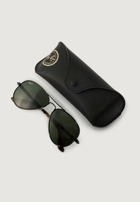 Occhiali da sole aviator neri con lenti verdi, montatura in metallo e dettagli marroni, accanto a un astuccio in pelle nera con un logo dorato.