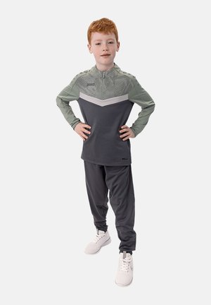 JAKO ICONIC HALFZIP - Sweatshirt - graugruen
