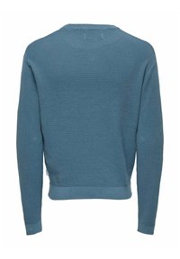 Maglione blu a maglia con un motivo texturizzato, scollatura rotonda e polsi e orlo a coste. Vista posteriore, senza loghi o decorazioni visibili.