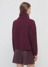 Calliope DOLCEVITA - Strickpullover - vinaccia
