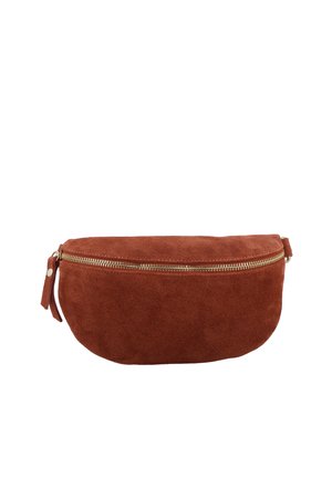 Pruun seemisnahast vöökott kuldse tõmblukuga ja nahast tõmbenupuga, kõverdatud ristkülikukujuline, valge taustaga.