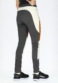 Swedemount NORDIC HYBRID TIGHTS W - Outdoorbroeken - offwhite almond