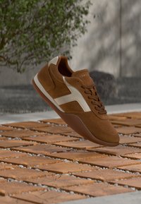 Επιλέχθηκε, ginger clay