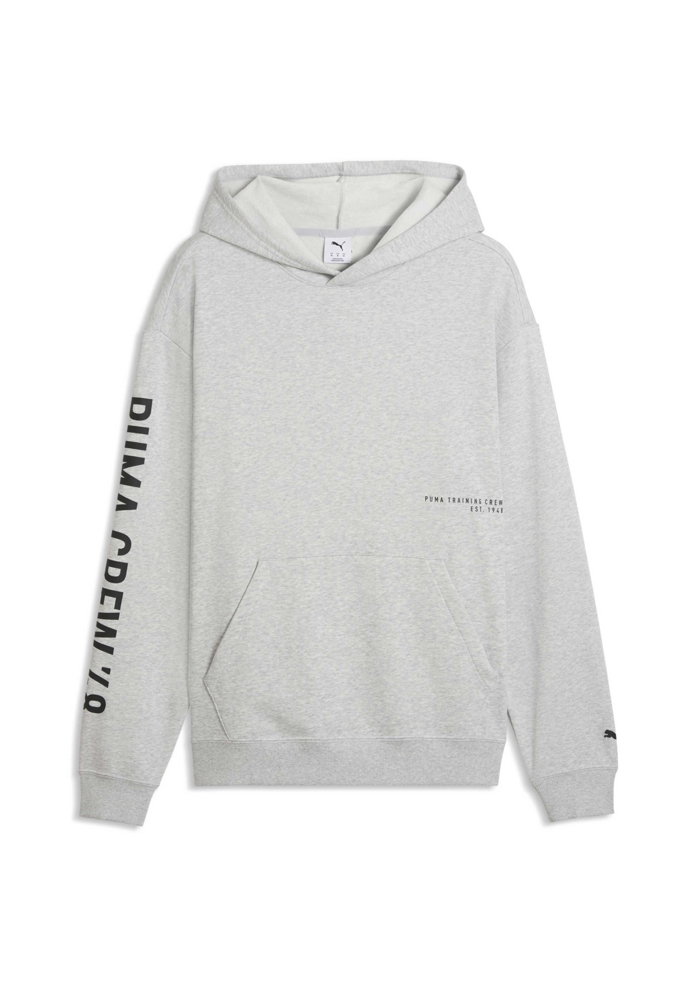 Puma GRAPHICS - Mikina s kapucí - light gray heather