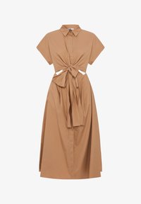 Non sélectionné, camel