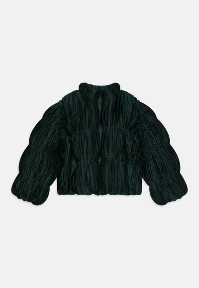 Green padded jacket with a textured, pleated design. Features a high collar and full-length zip closure, emphasizing a voluminous shape.