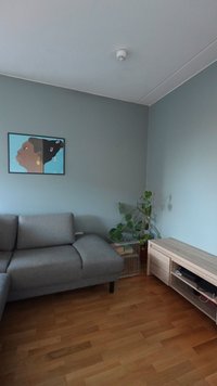 Graues Sofa vor blauen Wänden, darüber modernes gerahmtes Porträt, grüne Blattpflanze neben einem Metallkäfig, helles Holz-TV-Regal auf Holzboden.