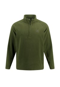 Pullover in pile verde oliva con zip a metà nella parte anteriore, maniche raglan e un logo sottile sul petto. Texture morbida e design informale.