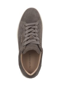 Gray suede sneaker with flat shoelaces, round toe, and a light-colored rubber sole. Features a brand logo on the side. Smooth interior lining.
