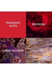 Christina Aguilera Fragrances CHERRY NOIR EAU DE PARFUM SPRAY - Eau de parfum