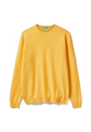 CREW NECK  - Maglione - yellow