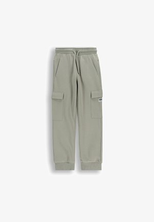 Jasnoszare spodnie typu jogger z zielonkawym odcieniem, z kieszeniami po bokach, ściągaczem w pasie na sznurek oraz ściągaczami przy kostkach.