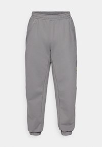 Adidas Terrex NATIONAL GEOGRAPHIC AERO.READY_WARMING PANTS - Āra bikses - grey