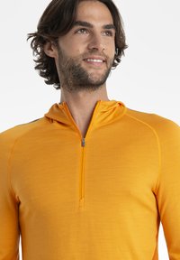 icebreaker MERINO 200 MID WEIGHT SONEBULA HALF ZIP HOOD - Maglietta a manica lunga - DARK ORANGE