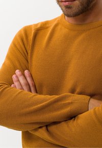 Mann mit hellen Bart, der einen senfgelben Strickpullover trägt, mit verschränkten Armen vor einem schlichten weißen Hintergrund.