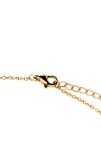Catena in metallo color oro con un gancio a moschettone lucidato. Presenta anelli intrecciati e una leggera texture, che mostrano un design semplice ed elegante.