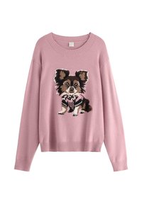 Rosa tröja med ett stickat Chihuahua-mönster. Har en rund halsringning, långa ärmar och ribbat nederkant. Mjuk textur, avslappnad passform.
