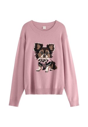 Rosa tröja med ett stickat Chihuahua-mönster. Har en rund halsringning, långa ärmar och ribbat nederkant. Mjuk textur, avslappnad passform.
