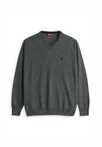 Maglione grigio scuro a scollatura a V realizzato in materiale a maglia, con polsini e orlo a coste, e un piccolo logo sul petto. Design semplice.