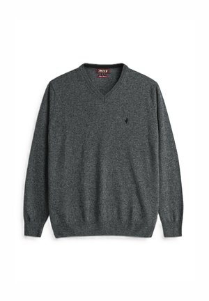 Maglione grigio scuro a scollatura a V realizzato in materiale a maglia, con polsini e orlo a coste, e un piccolo logo sul petto. Design semplice.