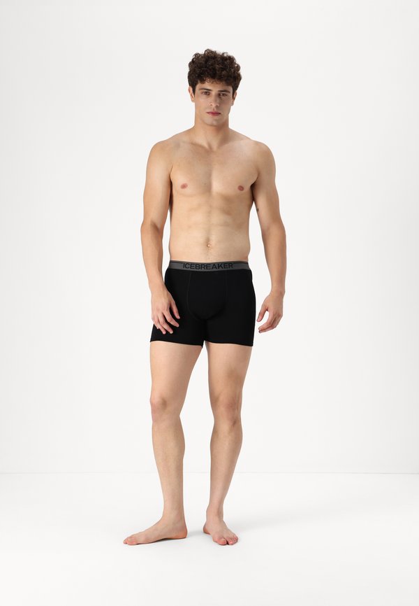 MEN MERINO 150 ANATOMICA LONG BOXERS - Trunks2